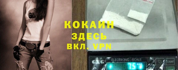 дживик Аркадак