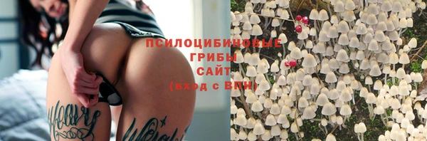 дживик Аркадак