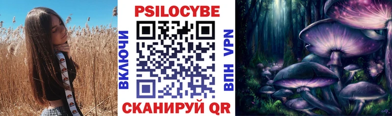 Псилоцибиновые грибы Psilocybe Городец