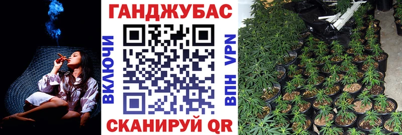 Каннабис SATIVA & INDICA  Городец 